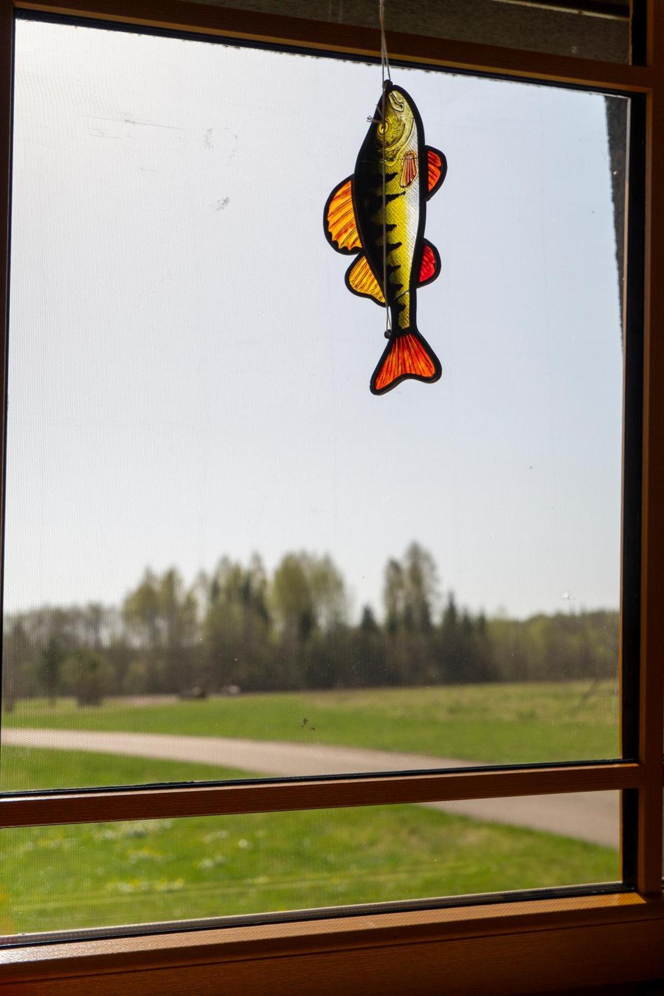 Stadelnieki Smaltani Buitenkant foto